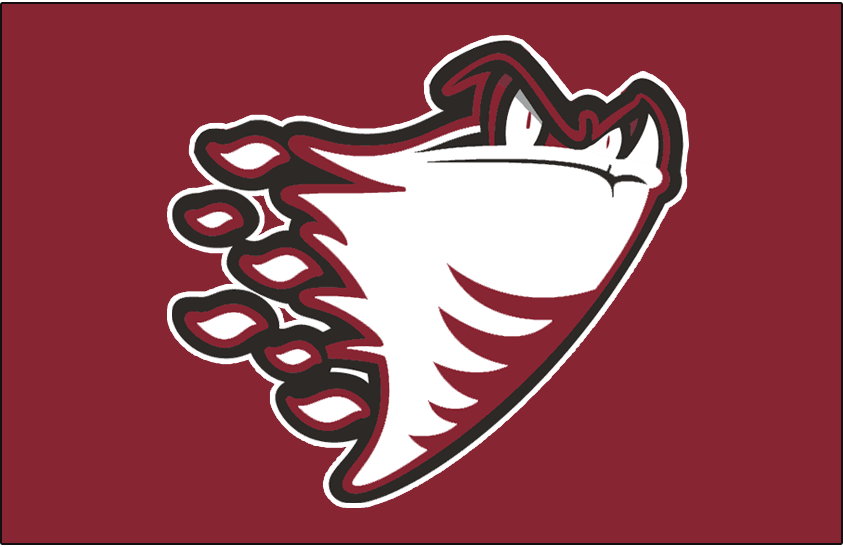 Guelph Storm 2000-2003 Jersey Logo iron on heat transfer